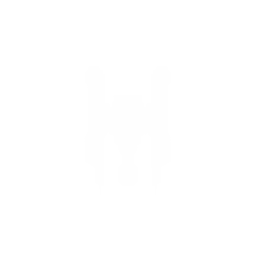 Light Carrier