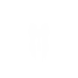 Carrier