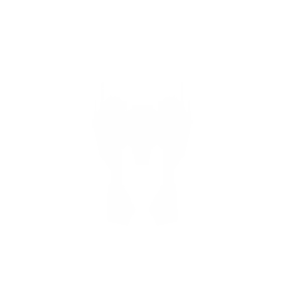 Fighter