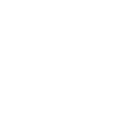 Biomech C