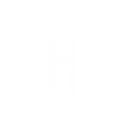 Slingshot Platform