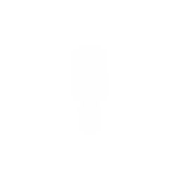 Lion Class Supply Ship
