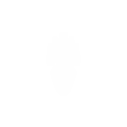 Nemesis Class Interceptor