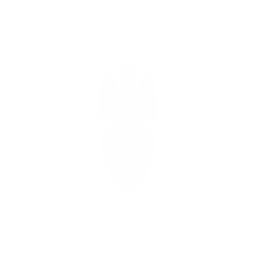 Patrol Boat