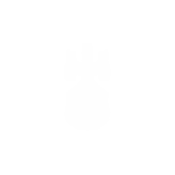 Battle Cruiser