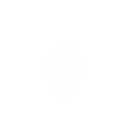 Escort