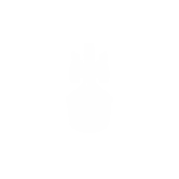 Heavy Cruiser