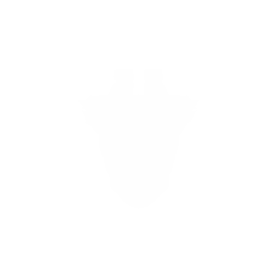 Shuttle
