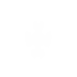 Dreadnought