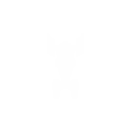 Executor