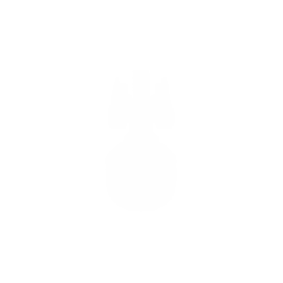 Light Cruiser