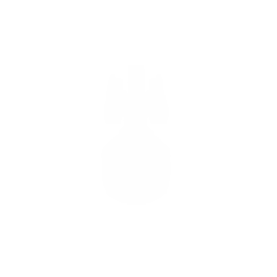 Missile Cruiser