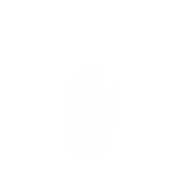 Avenger