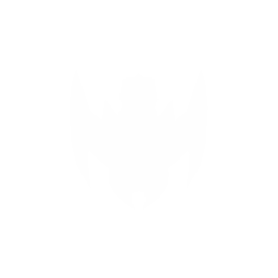 Destroyer