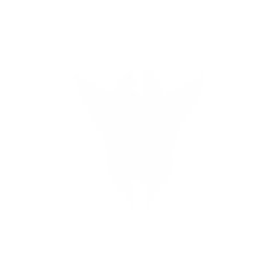Escort
